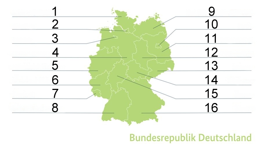 Verdauungssystem-beschriften-v1.jpg