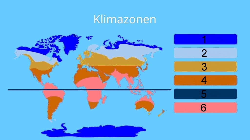 Verdauungssystem-beschriften-v1.jpg